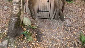 Una casa sull'albero con una porta di legno e un piccolo oblò, immersa tra alberi e foglie.