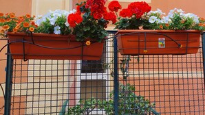 Twee terracotta bloempotten op een metalen hekwerk, elk gevuld met verschillende bloemen.