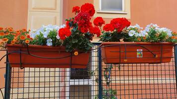 DĂ©tail de lâextĂ©rieur