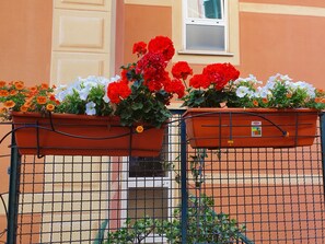 Exterior detail - Open space with garden 2 minutes from the sea (Camogli)