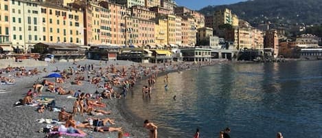 Plage | Chaises longues