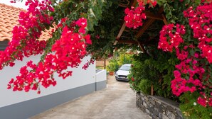A narrow alleyway with a car parked at the end, surrounded by lush greenery and vibrant pink flowers. - Villa Dinis (Calheta)