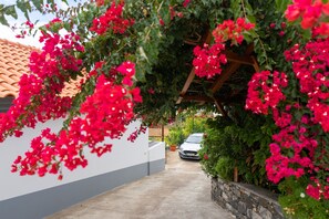 Exterior - Villa Dinis (Calheta)