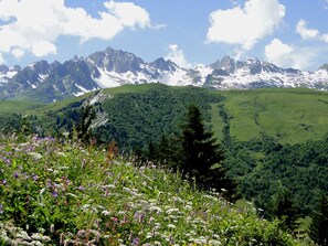 Terrain de lâhĂ©bergement