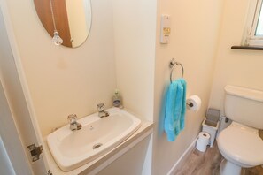 A bathroom with a sink, toilet, and a mirror.