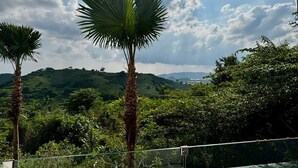 Un balcon doté d’une balustrade en verre, offrant une vue sur un paysage luxuriant, avec des palmiers et une colline au loin.