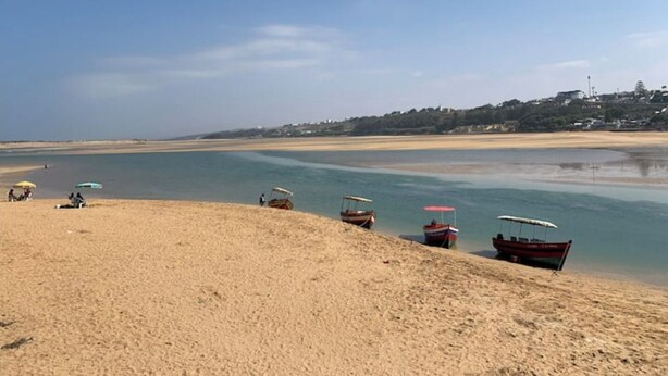 Una playa con barcos y sombrillas.