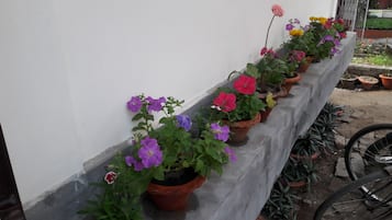 Fachada del alojamiento