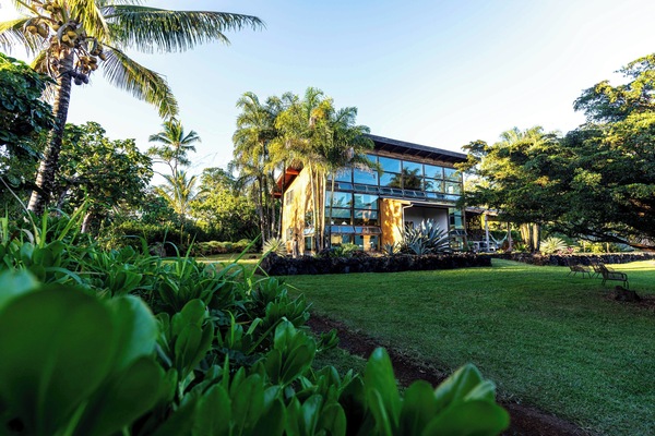 A livable piece of art