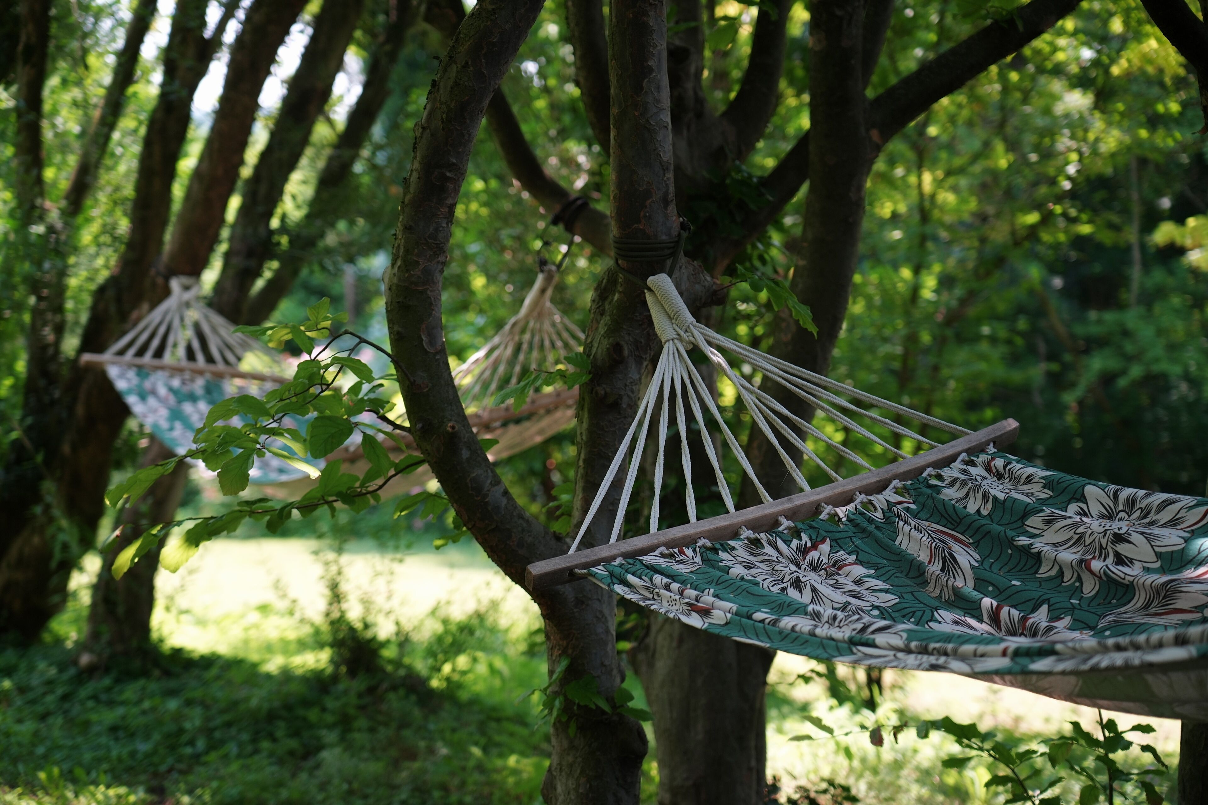 Una hamaca colgando de un árbol en un entorno forestal exuberante y verde.