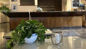 A reception desk with a plant in a white bowl and a candle in a glass jar on the table. - Le Focette Dell'Orso (Scanno)