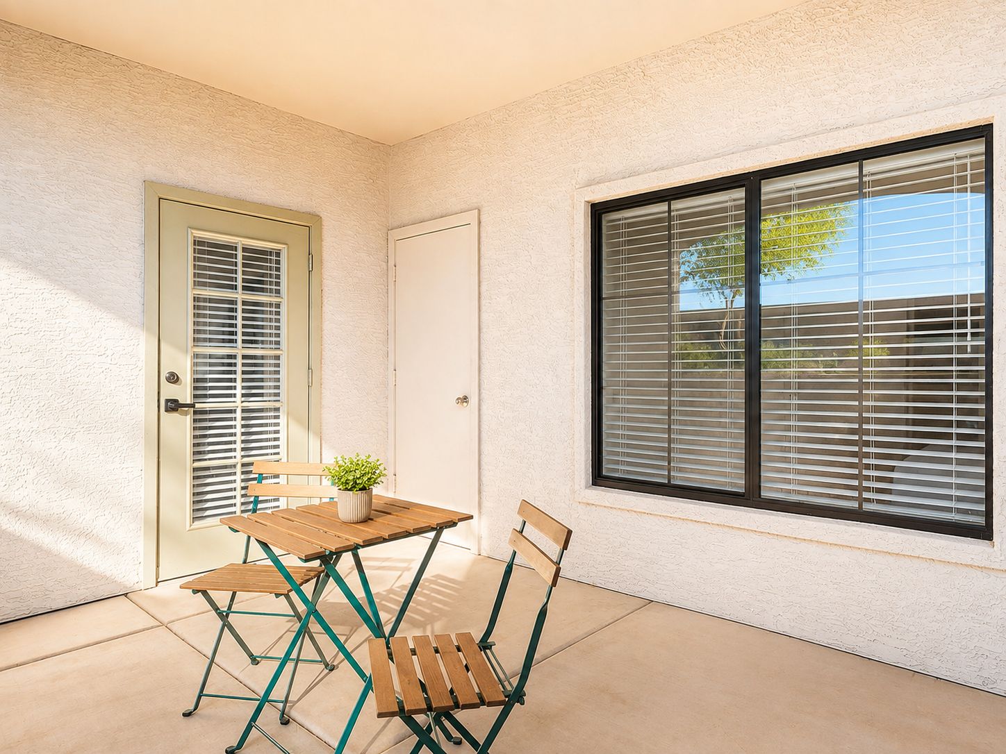 A patio area with a table and chairs, a potted plant, and a door with a window.
