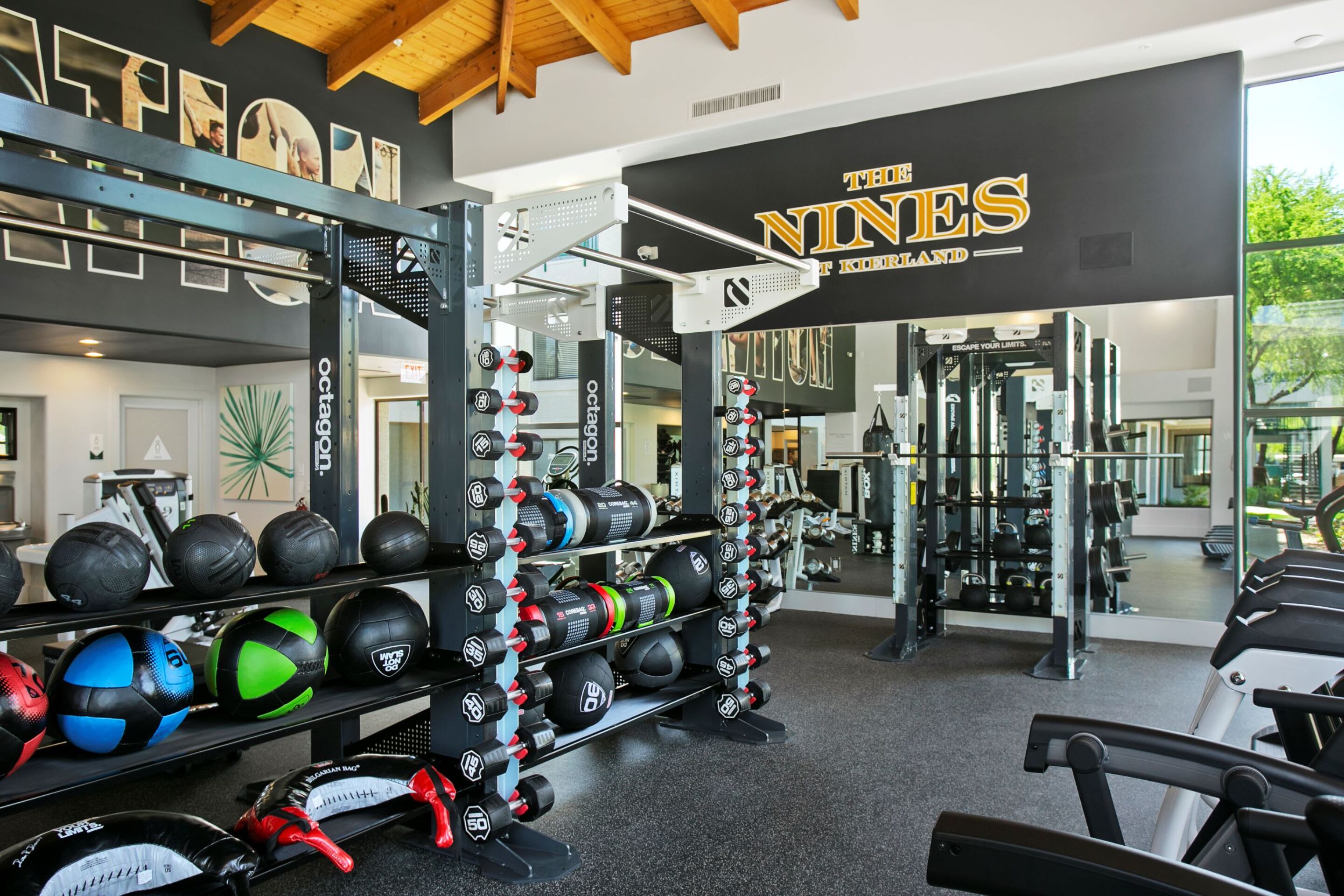 Ett gym med utrustning för styrketräning, löpband och en vägg full med speglar.