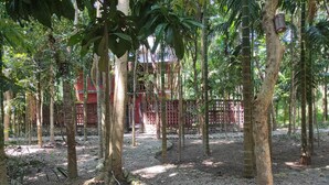 A forested area with a red building in the background. - Homocation Sikhiri Cottages (Barnagar)