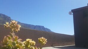 Property grounds - SECURE , SELF CATERING, SPACIOUS 1 BD  UNIT.   SLEEPS 4 comfy. MT & SEA VIEWS (Cape Town)