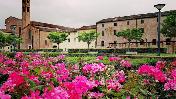 A courtyard with pink flowers, a church, and a building with a clock tower. - LO STELLARIO DI LUCCA in the historic center, parking very close, WiFi (Lucca)