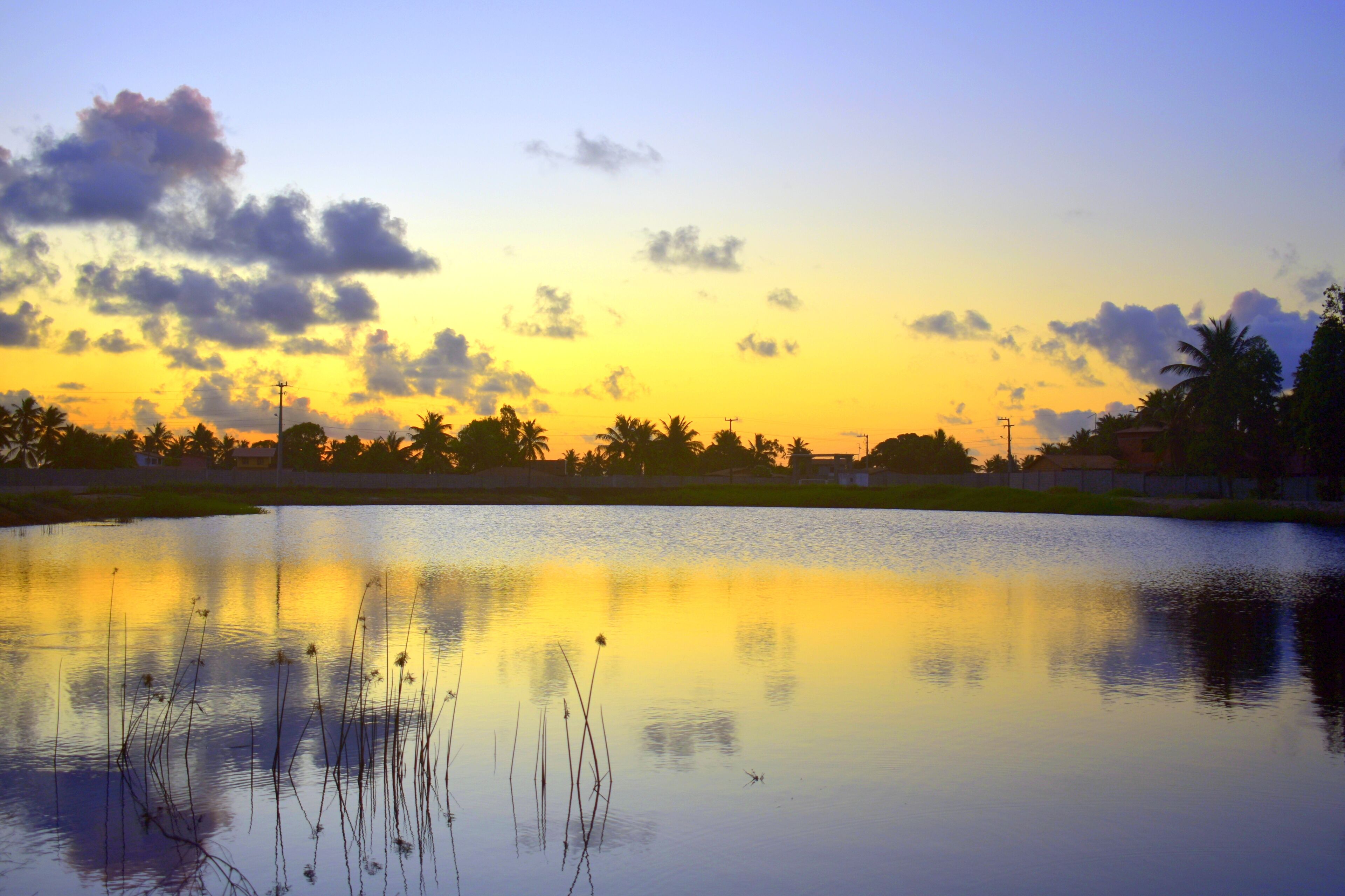 Un lago tranquilo al atardecer, reflejando el cielo y los árboles circundantes.