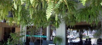 Canoas Parque Hotel