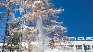 Un edificio con un cielo azul claro y árboles cubiertos de nieve.