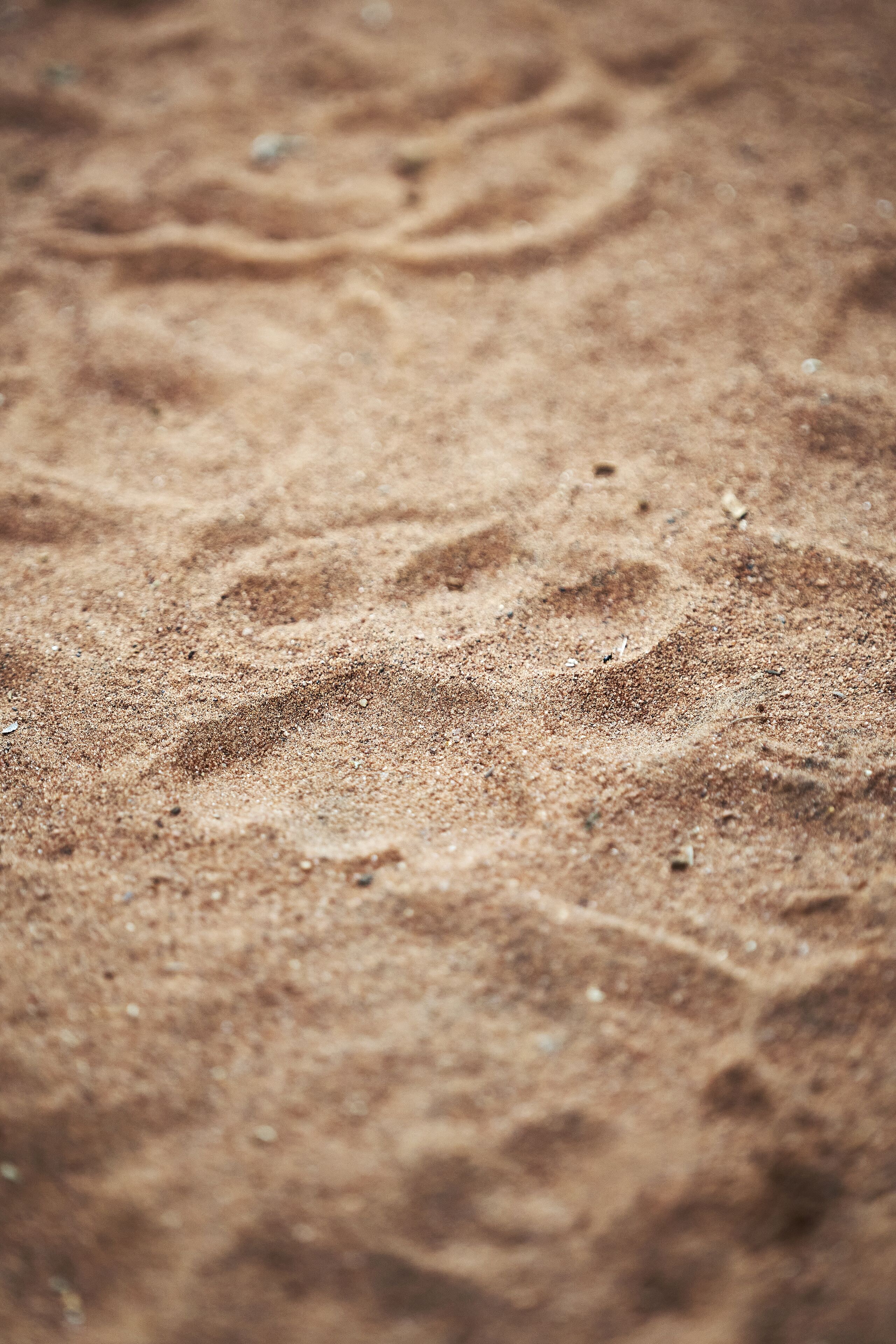 A close-up of sand with visible footprints.