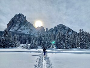 Wintersport/Ski