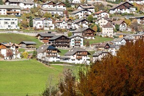 Exterior - Apartment "Villa Erina C" with Mountain View, Balcony & Wi-Fi (Ortisei)