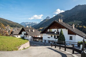 Exterior - Apartment "Villa Erina C3" with Mountain View, Terrace & Wi-Fi (Ortisei)