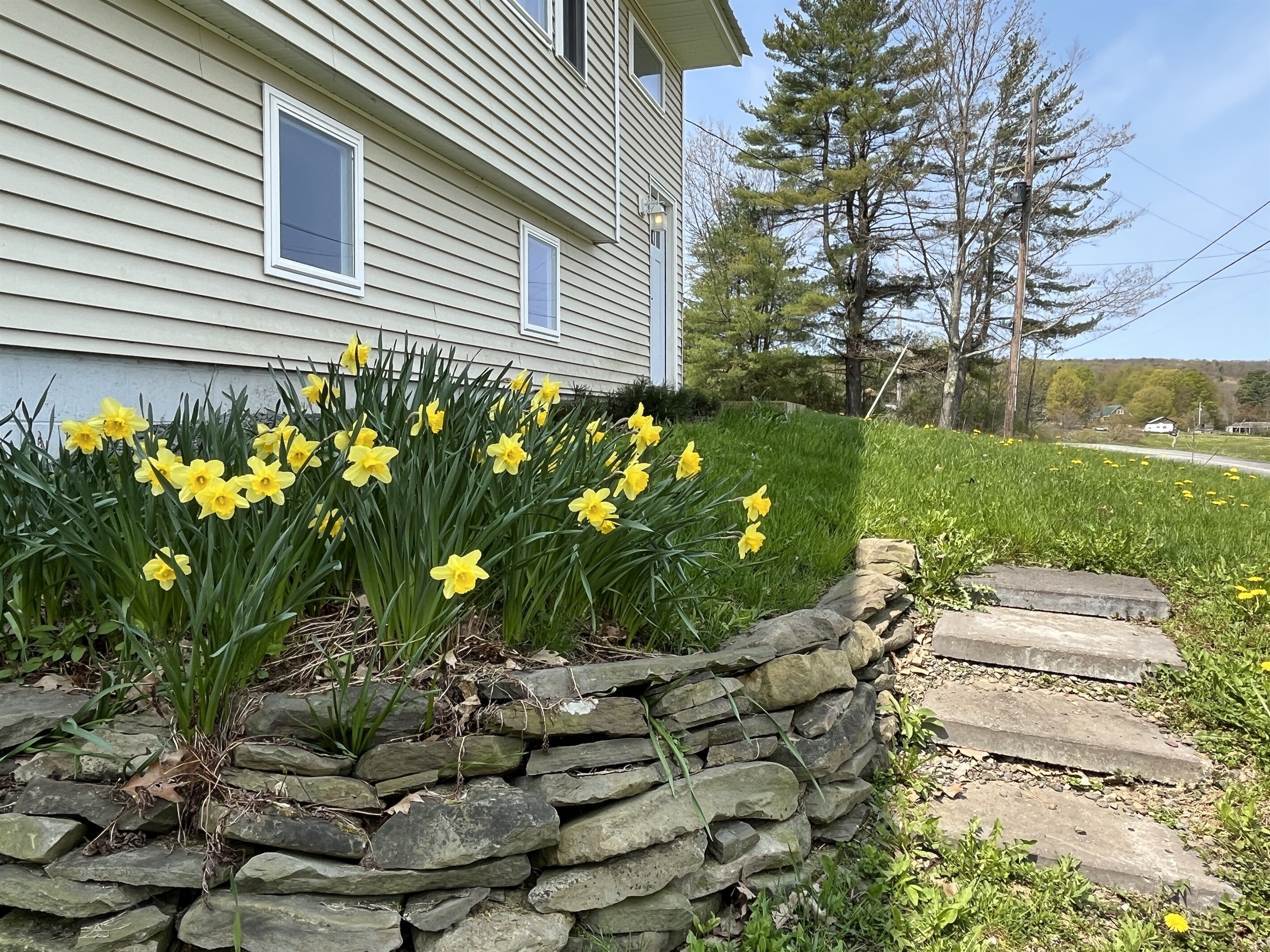 Detalle del exterior