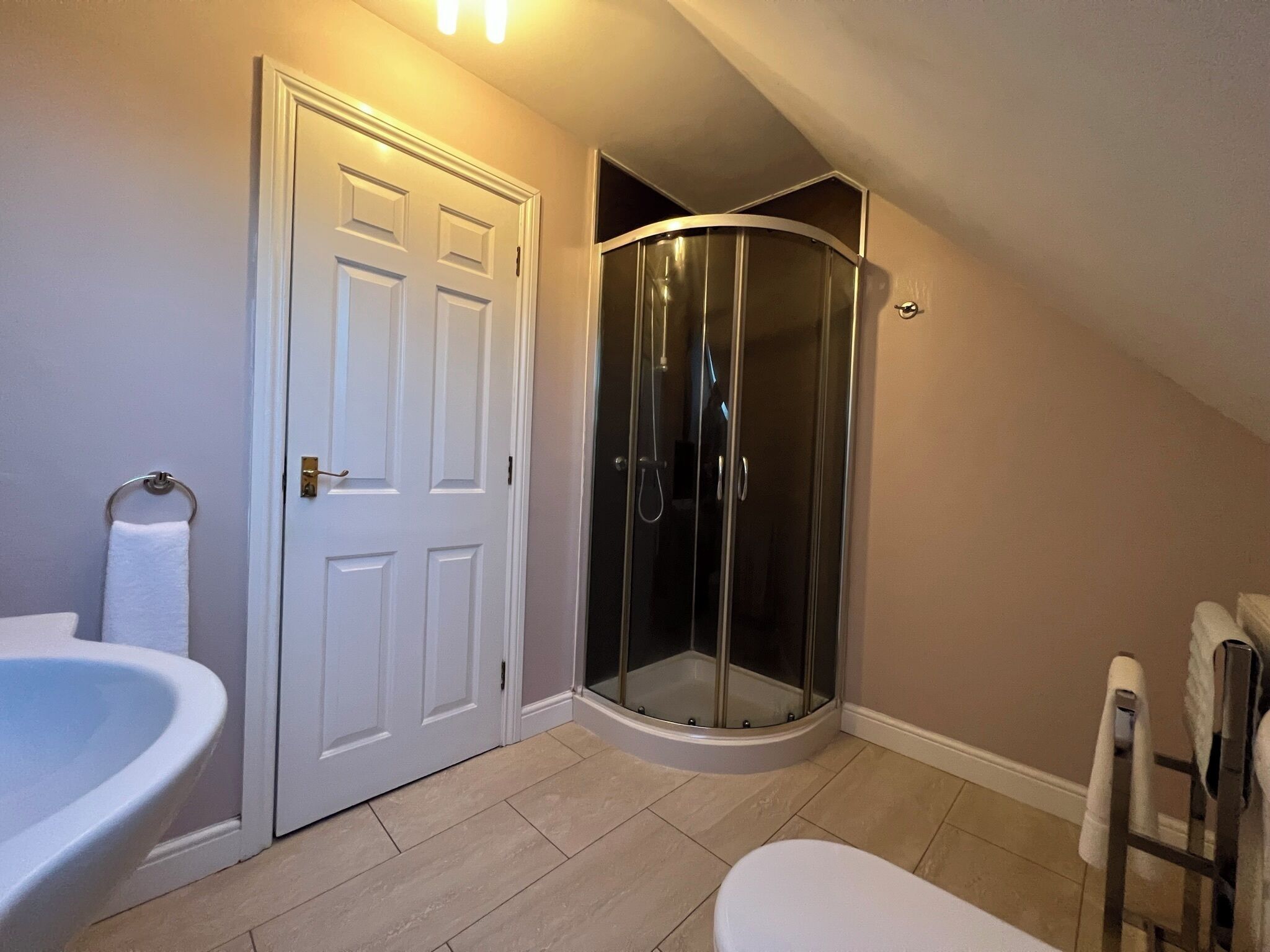 Combined shower/bathtub, hair dryer