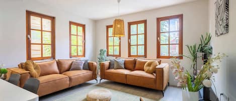 Fernseher, Arbeitsbereiche