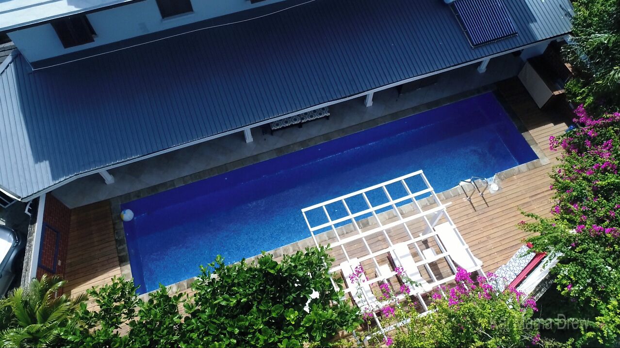 A rooftop pool with a clear view of the sky, surrounded by lush greenery and a wooden deck.