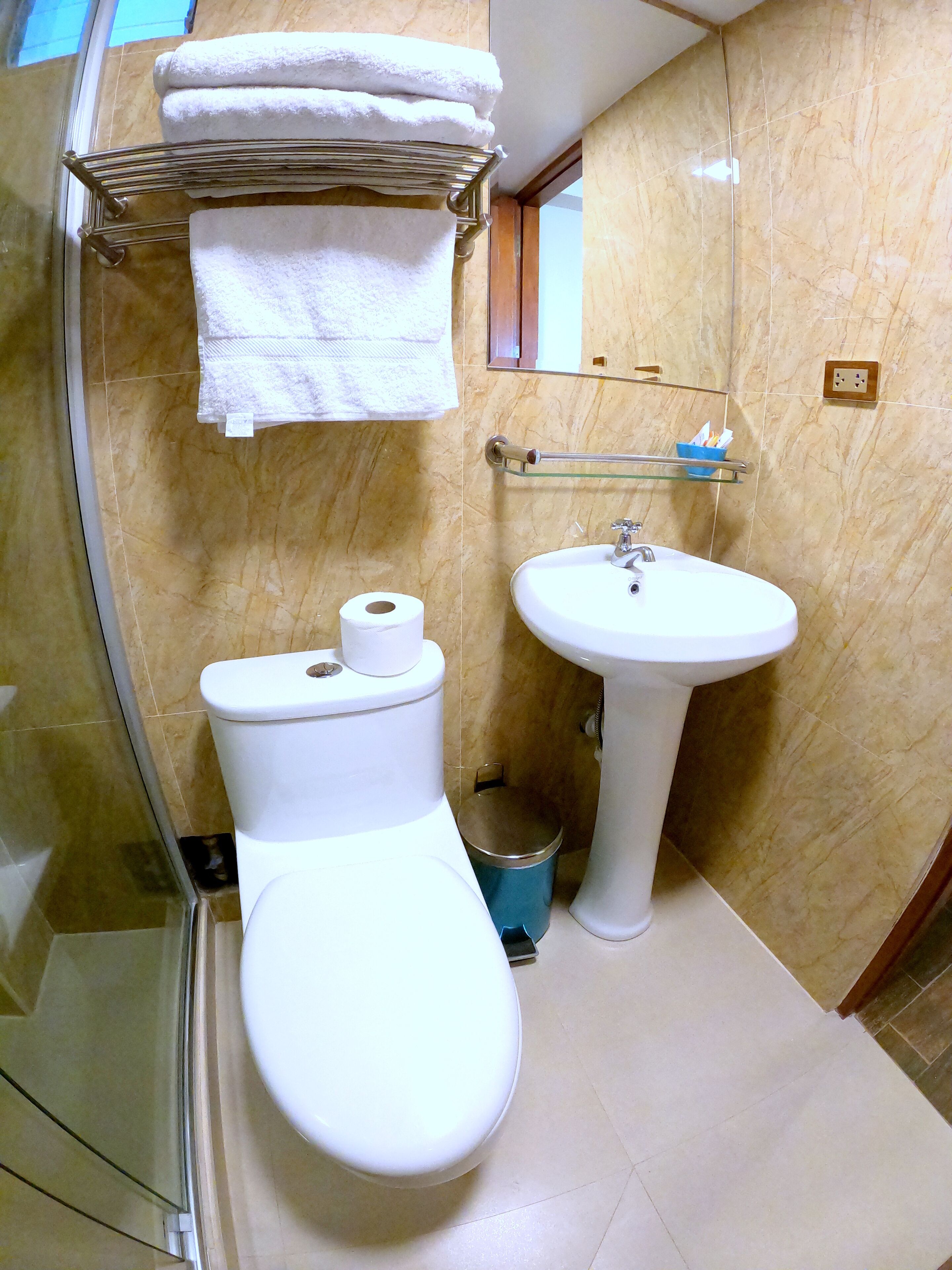 A bathroom with a toilet, sink, and a glass shower enclosure.