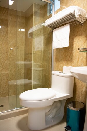 Douche, douche à « effet pluie », sèche-cheveux, serviettes fournies
