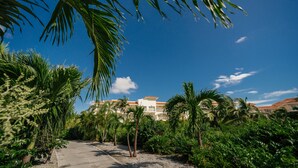 Un sentiero conduce a un edificio circondato da vegetazione lussureggiante e palme.