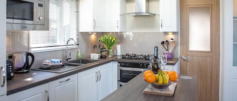 Fridge, microwave, oven, cookware/dishes/utensils
