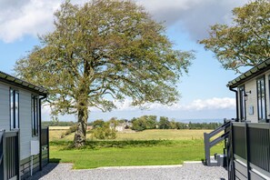 A view from a building's entrance to a grassy field with a large tree in the center.