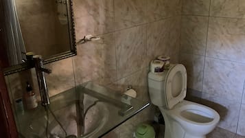Douche, serviettes fournies, shampoing, papier toilette