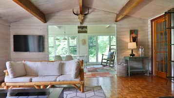 TV connectée, cheminée, chaßne hi-fi