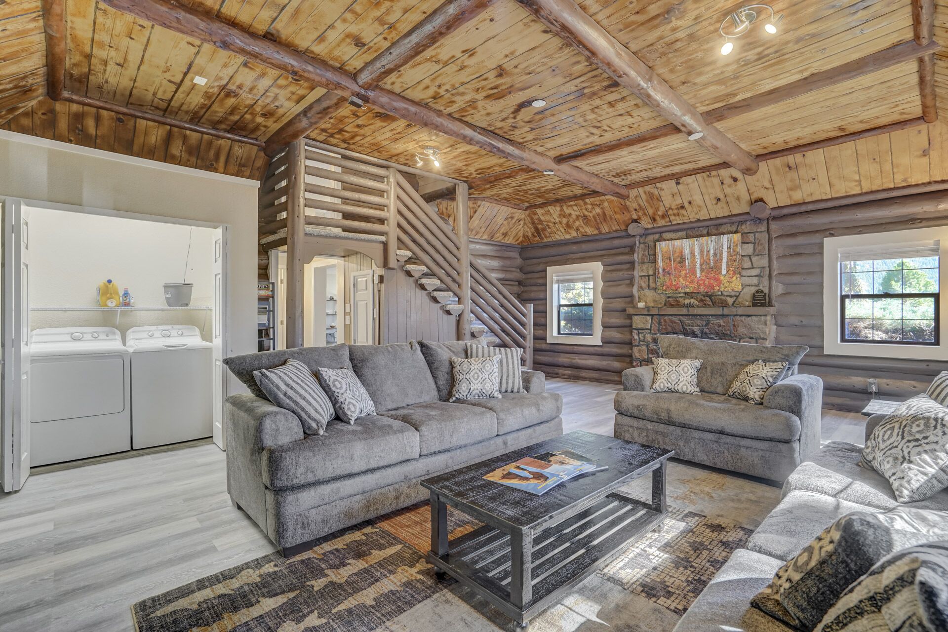 TV connectée, cheminée, lecteur de DVD, vidéothèque