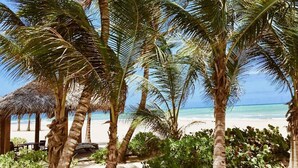 Una playa con palmeras y una estructura de techo de paja.