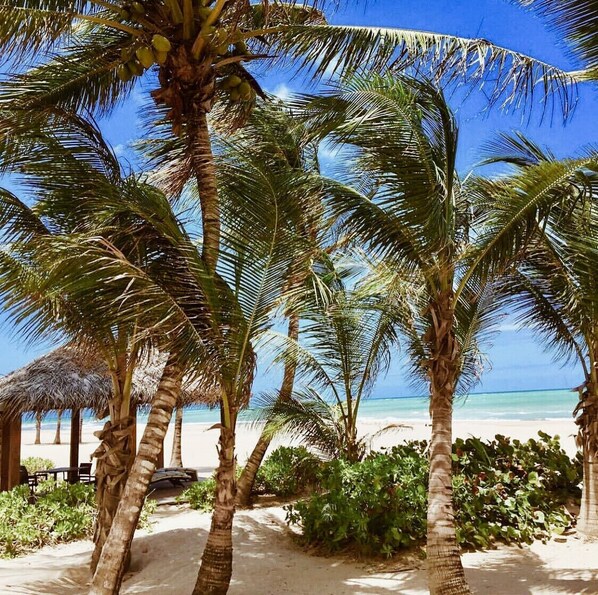 A beach with palm trees and a thatched-roof structure. - 🍹 Coco de Mer Villa: Sumptuous Caribbean Getaway at Bahia Beach Resort (Rio Grande)