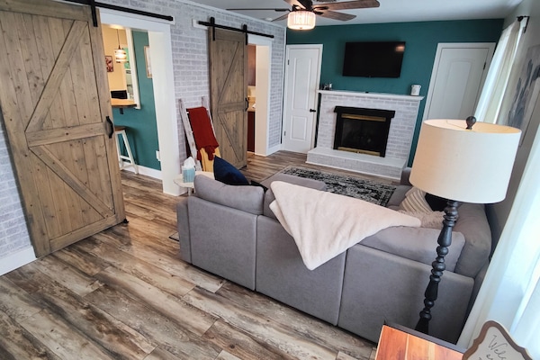 Televisor intel·ligent, llar de foc i llibres