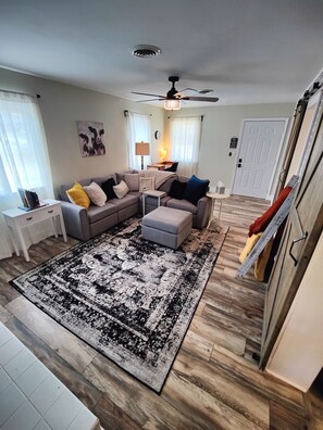 Smart TV, fireplace, books