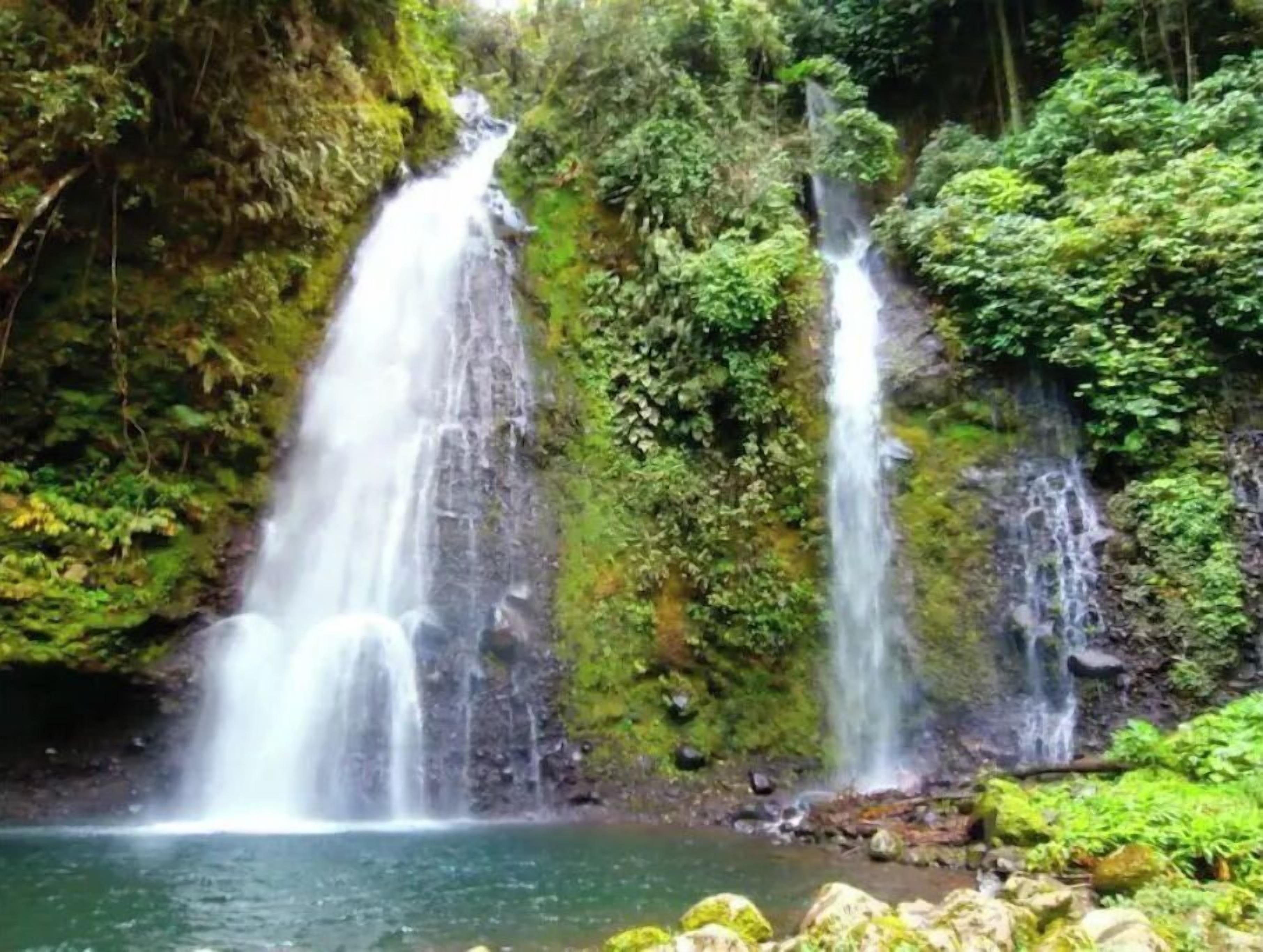 Una cascada que se precipita en una poza rodeada de exuberante vegetación.