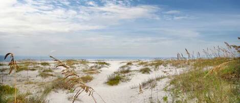 On the beach, sun loungers