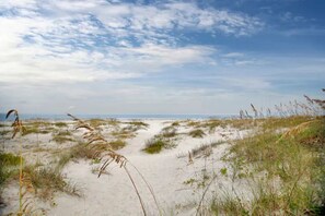 On the beach, sun loungers