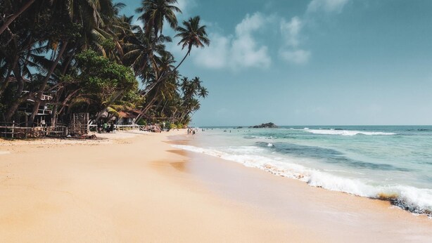 Een strand met palmbomen en een heldere lucht.
