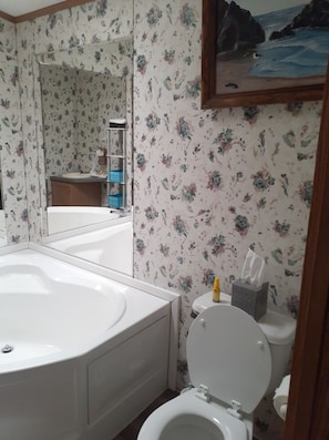 Combined shower/tub, hair dryer, towels