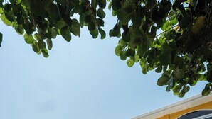 Edificio amarillo con piscina, mobiliario exterior y terraza de madera.