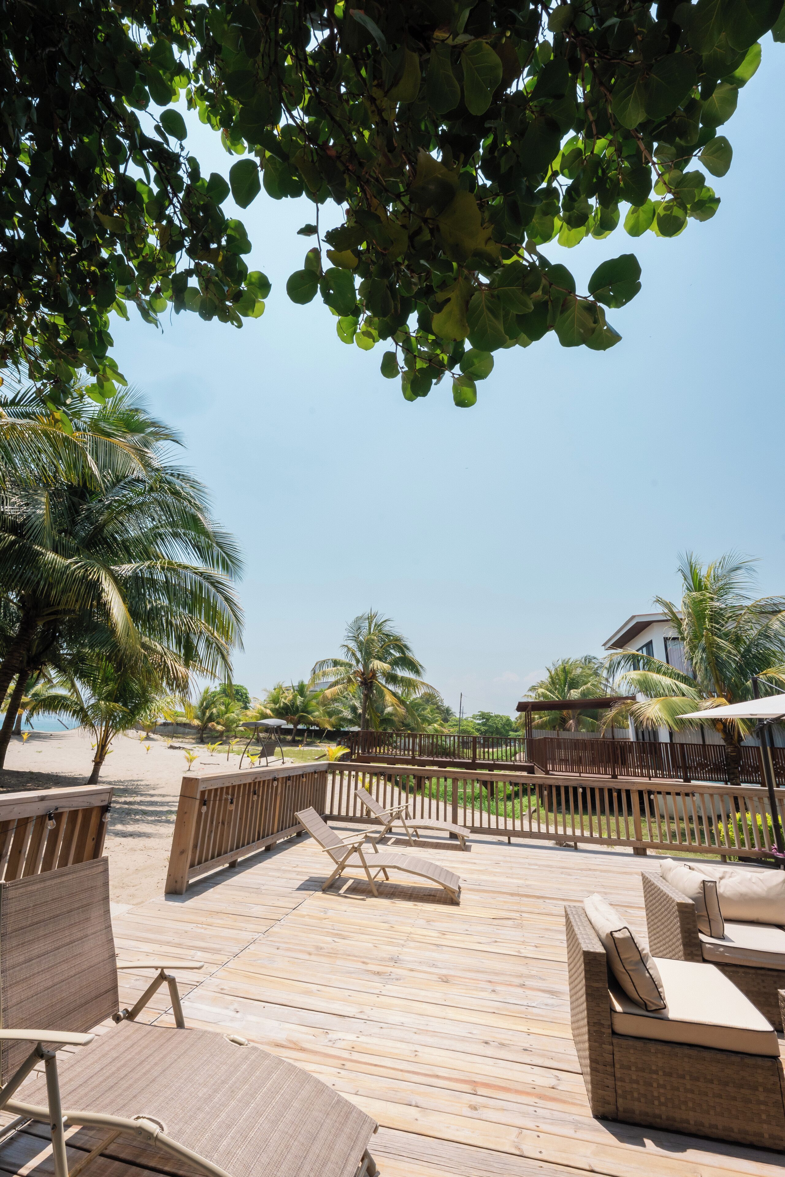 A wooden deck with lounge chairs and a wooden fence, surrounded by palm trees and a clear sky.